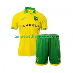 Thuisshirt Norwich City Voetbalteneu Kinderen 2025-26 S-S