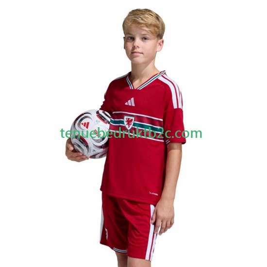 Thuisshirt Wales Voetbalteneu Kinderen 2026 S-S