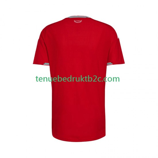 Thuisshirt Wales Mannen 2026 S-S