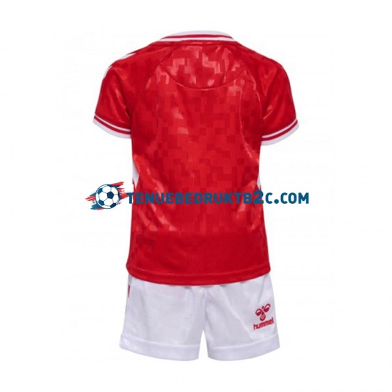 Thuisshirt Denemarken Voetbalteneu Kinderen Europacup 2024 S-S Rood