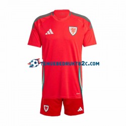 Thuisshirt Wales Voetbalteneu Kinderen 2024 S-S Rood