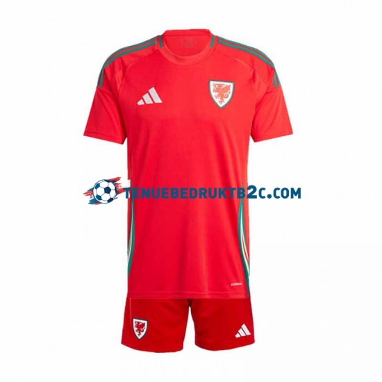 Thuisshirt Wales Voetbalteneu Kinderen 2024 S-S Rood