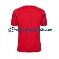 Thuisshirt Denemarken Mannen WK 2022 S-S