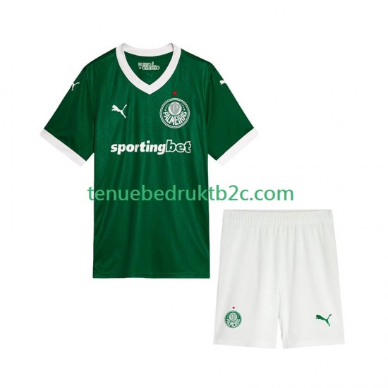 Thuisshirt Palmeiras Voetbalteneu Kinderen 2025-26 S-S